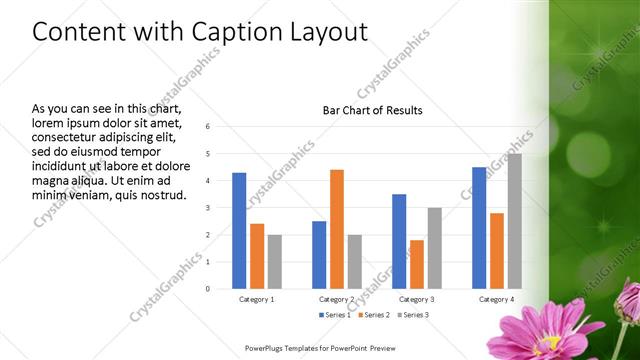 Content with Caption presentation slide layout