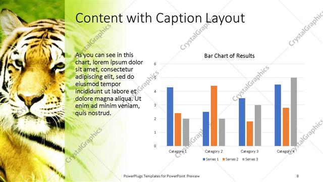 Content with Caption presentation slide layout