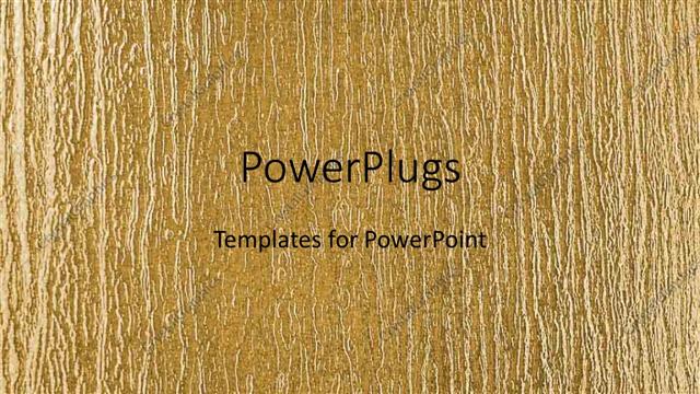  Presentation with sunshine - Close up of tree bark in sunshine