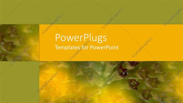  Presentation with purple green - Close up of tropical flower with purple,yellow and green colors, green and yellow background