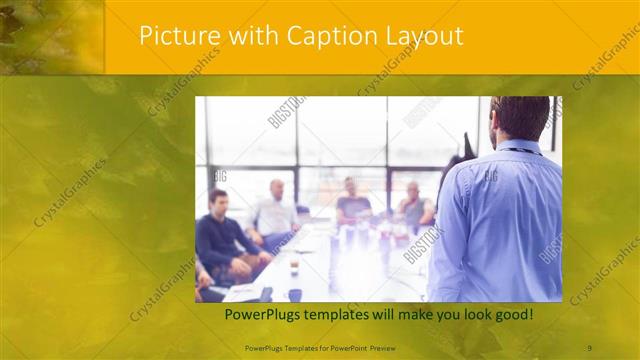 Picture with Caption presentation slide layout
