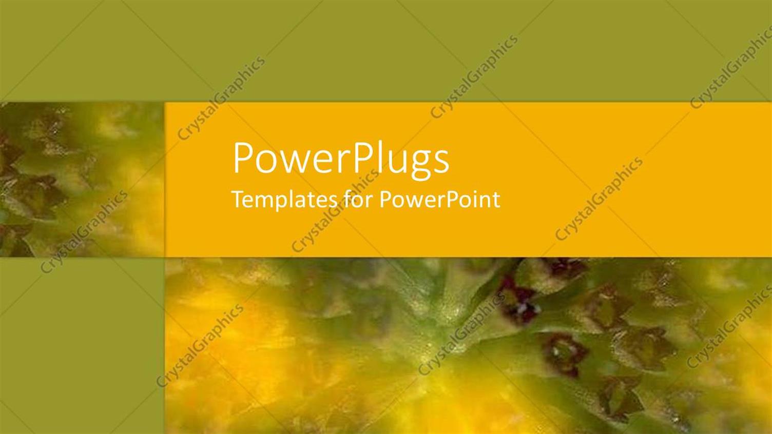 Premium Template for PowerPoint & Google Slides 
