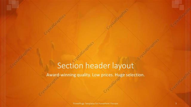 Section Header presentation slide layout