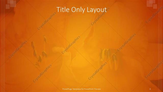 Title Only presentation slide layout