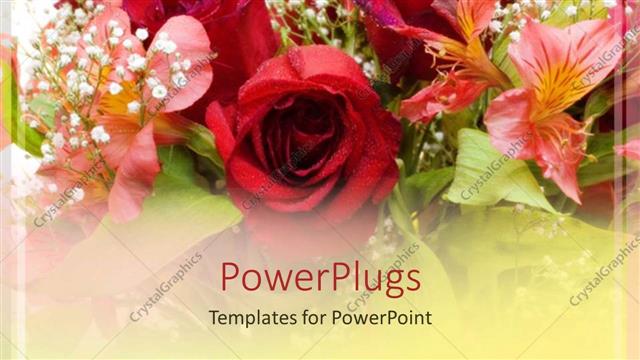  Presentation with lily flower - Close up of various colorful flower bouquet, red roses and pink lily