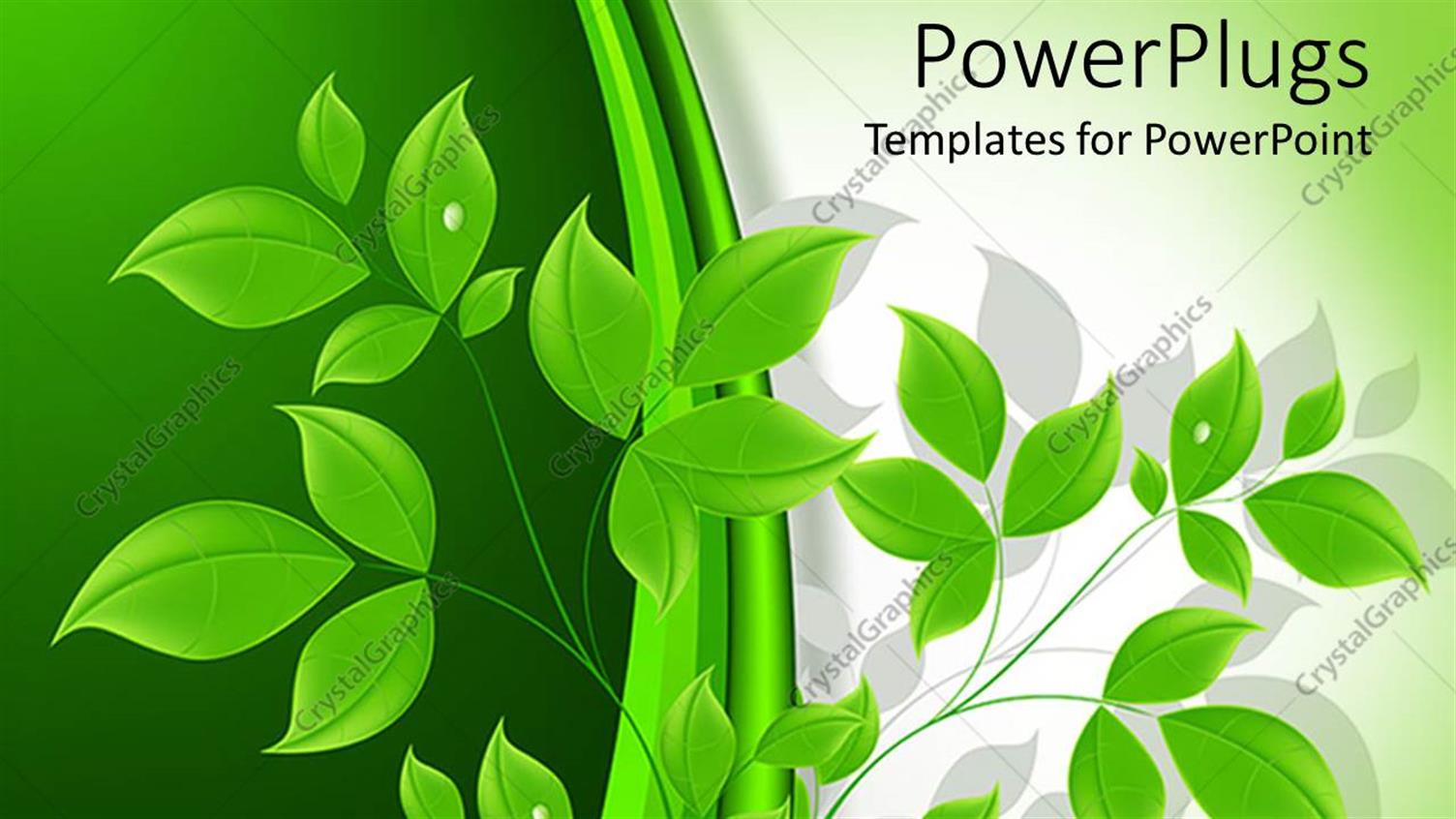 Premium Template for PowerPoint & Google Slides 