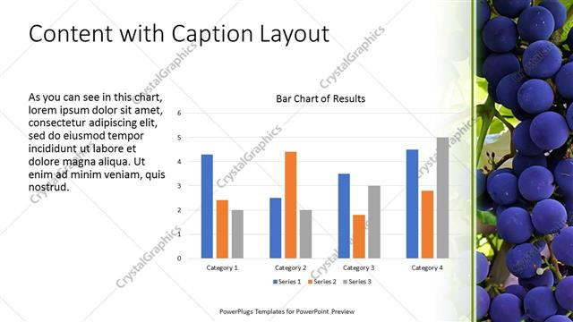 Content with Caption presentation slide layout