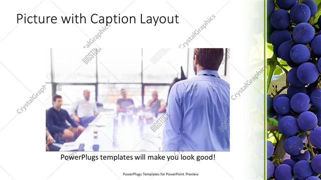 Picture with Caption presentation slide layout
