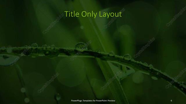 Title Only presentation slide layout