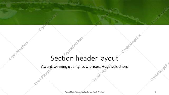 Section Header presentation slide layout