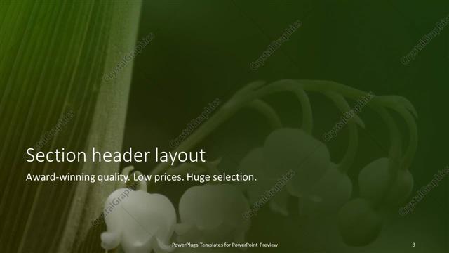 Section Header presentation slide layout