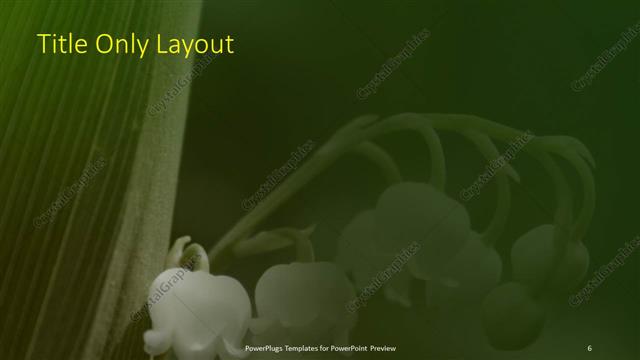 Title Only presentation slide layout