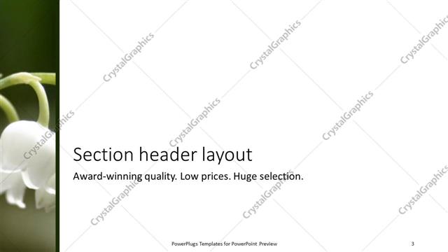 Section Header presentation slide layout