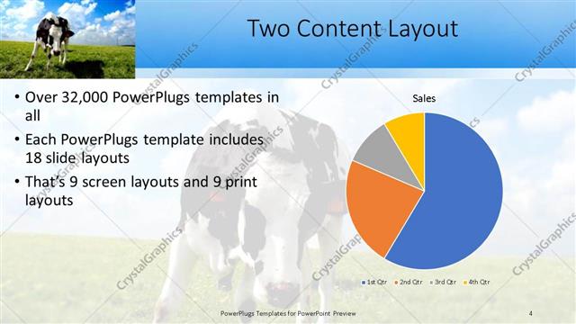 Two Content presentation slide layout