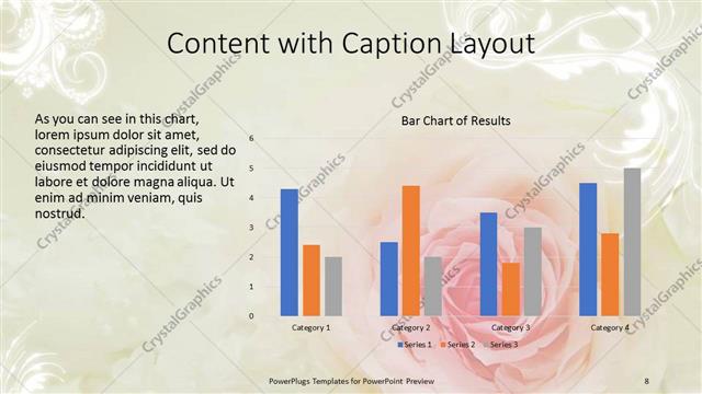 Content with Caption presentation slide layout