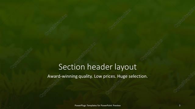 Section Header presentation slide layout