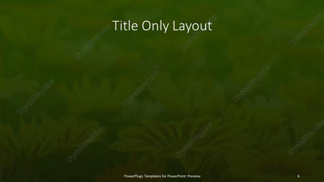 Title Only presentation slide layout