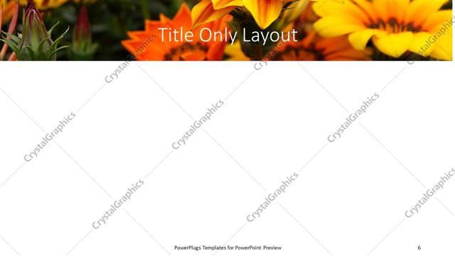 Title Only presentation slide layout