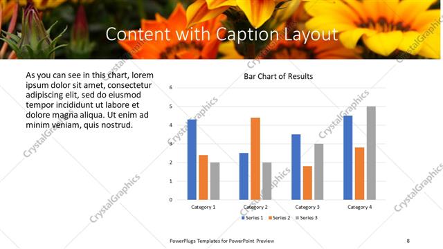 Content with Caption presentation slide layout