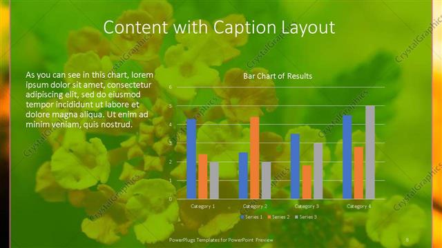 Content with Caption presentation slide layout