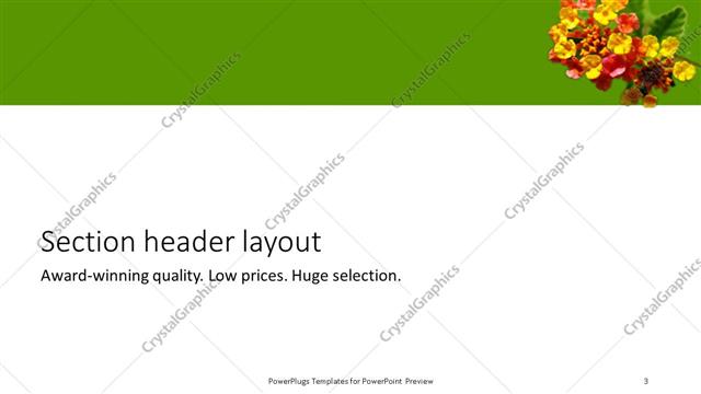 Section Header presentation slide layout