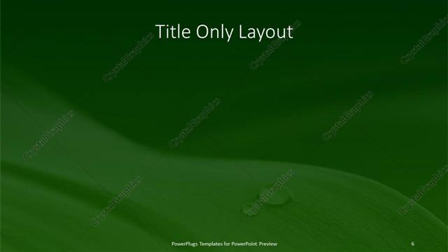 Title Only presentation slide layout