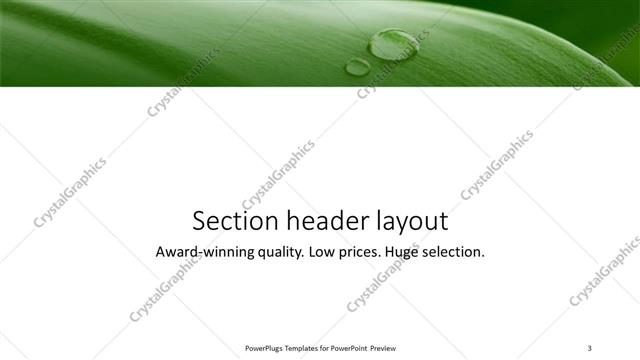 Section Header presentation slide layout