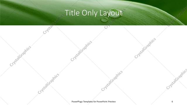 Title Only presentation slide layout