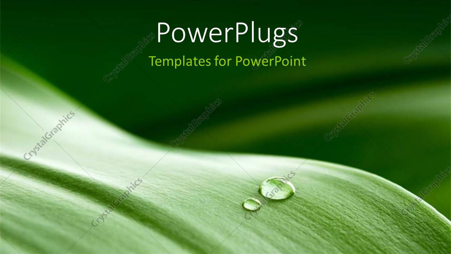 Premium Template for PowerPoint & Google Slides 