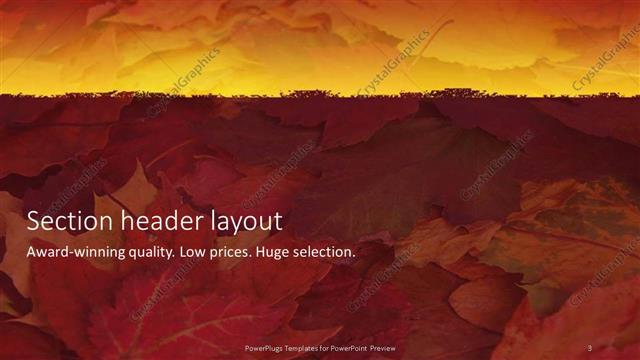 Section Header presentation slide layout