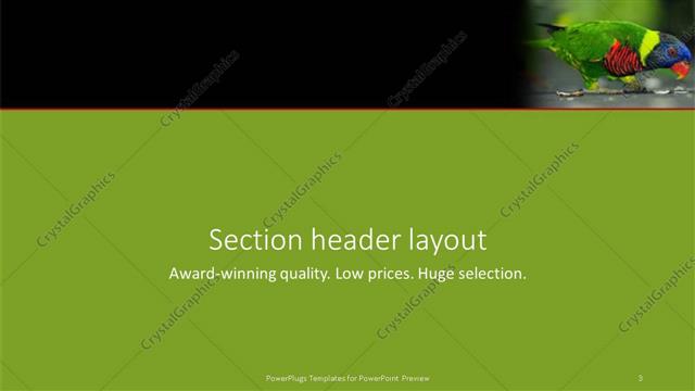 Section Header presentation slide layout