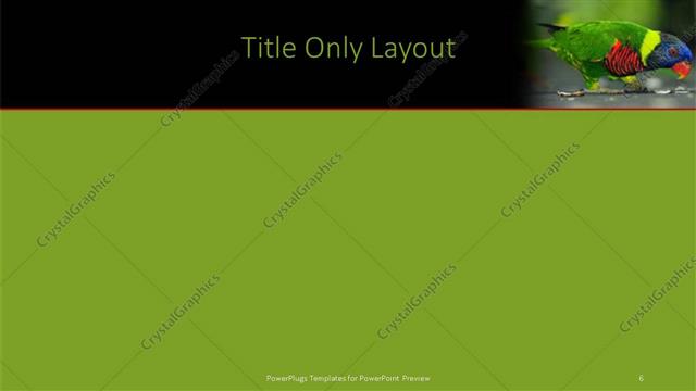 Title Only presentation slide layout