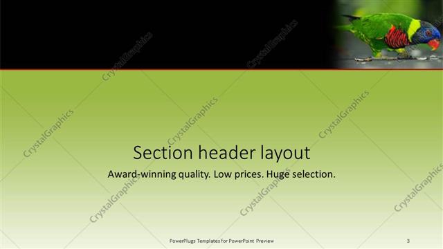 Section Header presentation slide layout