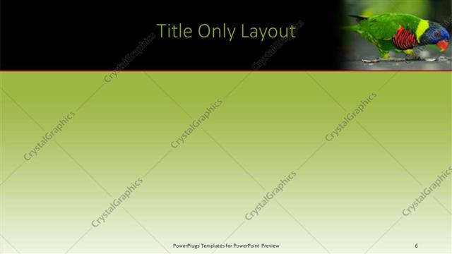 Title Only presentation slide layout