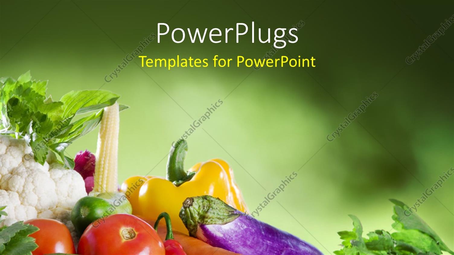 Premium Template for PowerPoint & Google Slides 