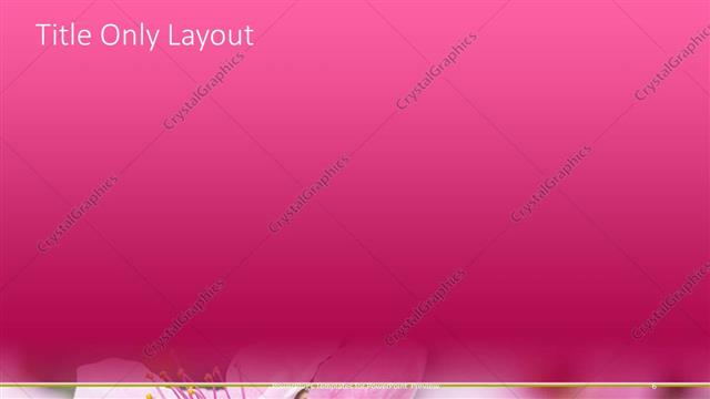 Title Only presentation slide layout