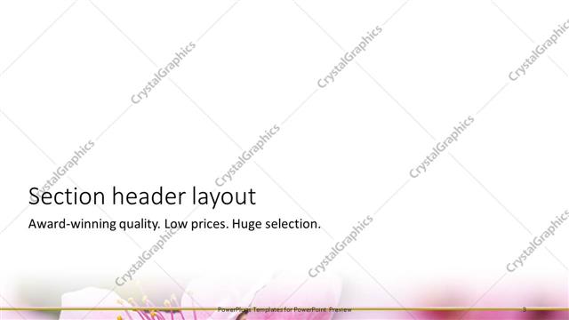 Section Header presentation slide layout