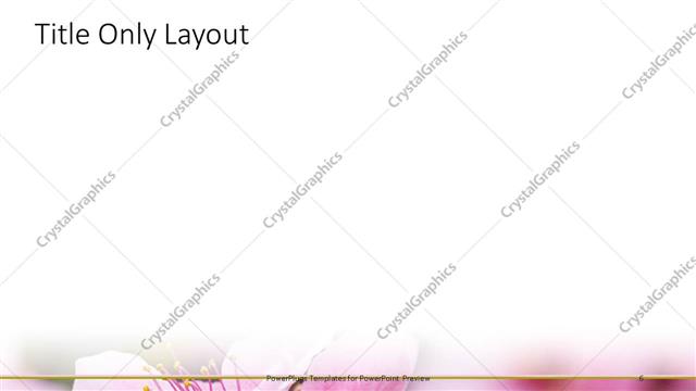 Title Only presentation slide layout