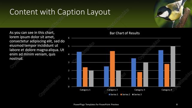 Content with Caption presentation slide layout