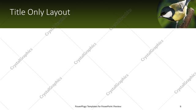 Title Only presentation slide layout