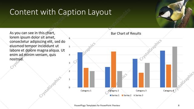 Content with Caption presentation slide layout