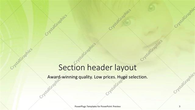 Section Header presentation slide layout