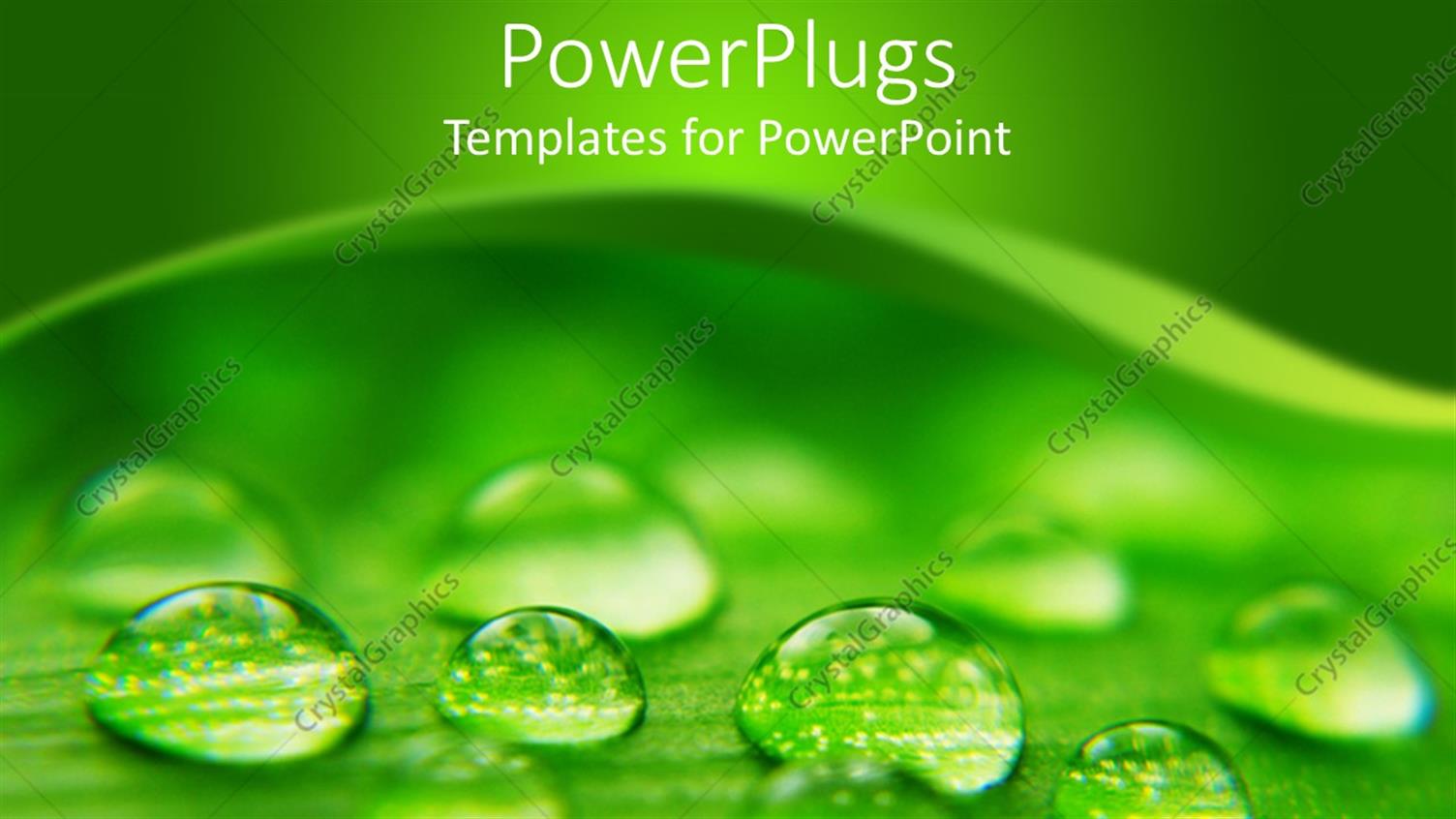 Premium Template for PowerPoint & Google Slides 