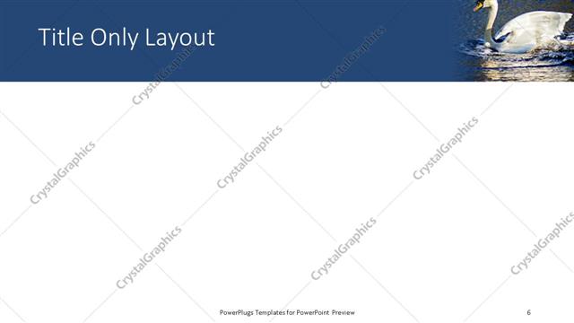 Title Only presentation slide layout