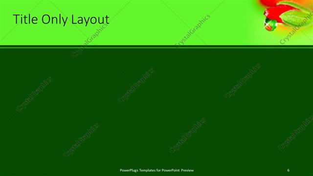 Title Only presentation slide layout