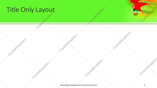 Title Only presentation slide layout