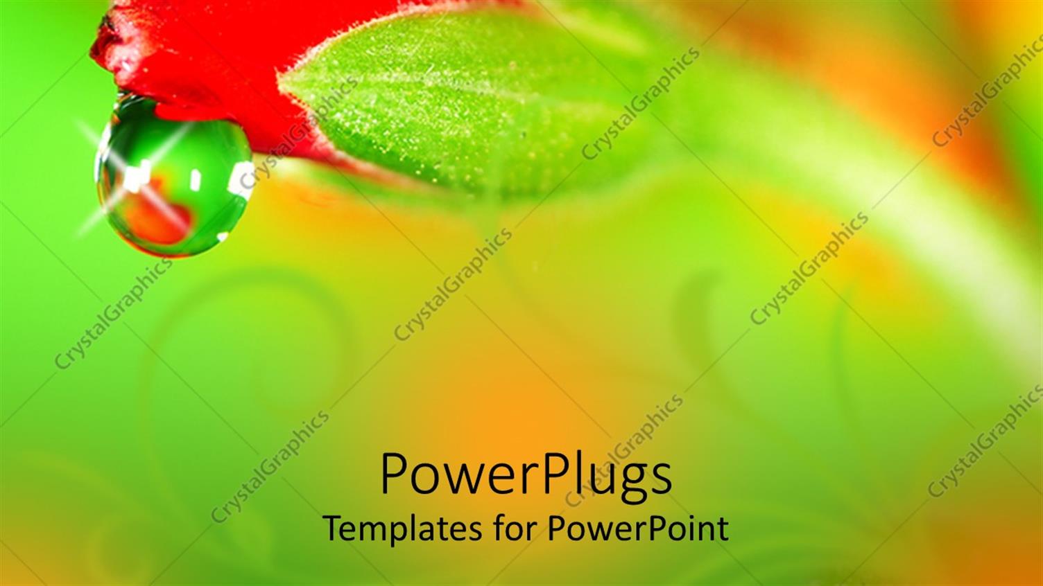 Premium Template for PowerPoint & Google Slides 