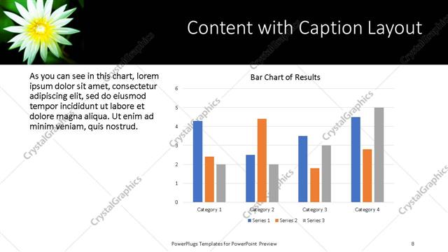 Content with Caption presentation slide layout