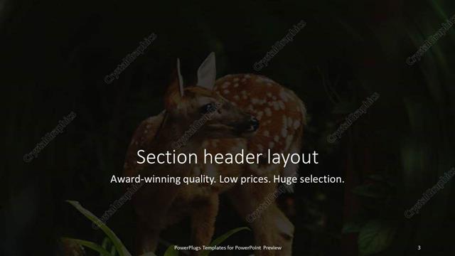 Section Header presentation slide layout