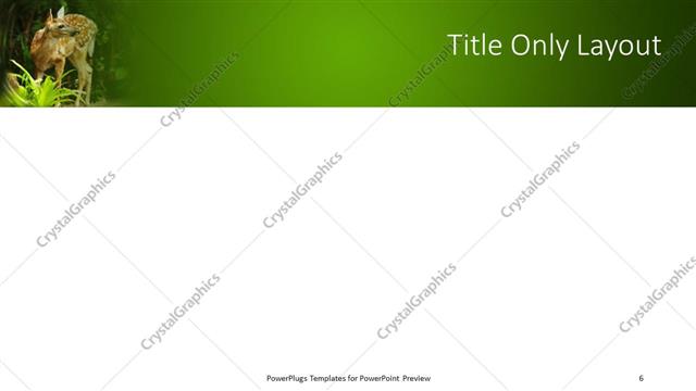 Title Only presentation slide layout